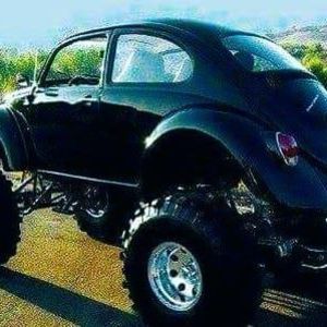 Meet your Posher, Curt